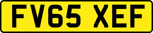 FV65XEF