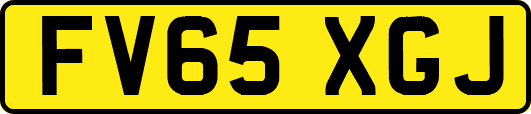 FV65XGJ