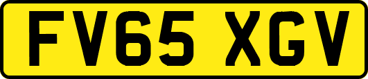 FV65XGV