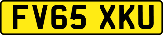 FV65XKU