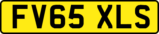 FV65XLS