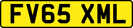 FV65XML