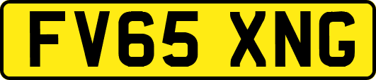 FV65XNG