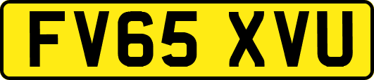 FV65XVU