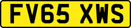 FV65XWS