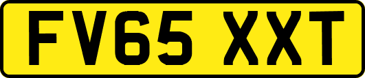 FV65XXT