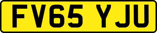 FV65YJU