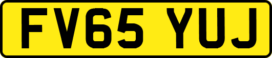 FV65YUJ