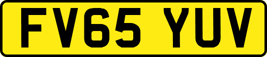 FV65YUV