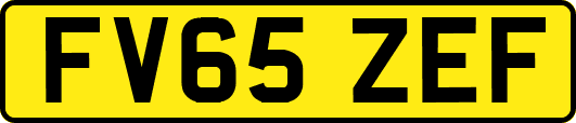 FV65ZEF
