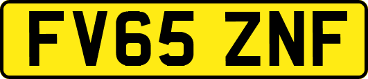 FV65ZNF