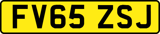 FV65ZSJ