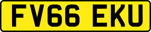 FV66EKU