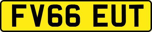 FV66EUT