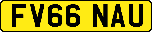 FV66NAU