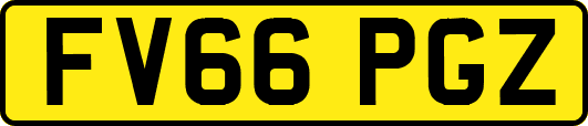 FV66PGZ