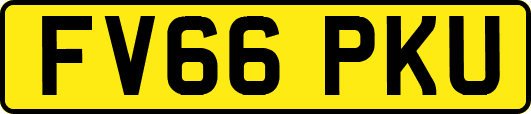 FV66PKU