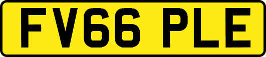 FV66PLE