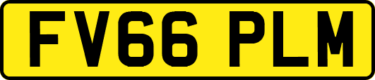 FV66PLM