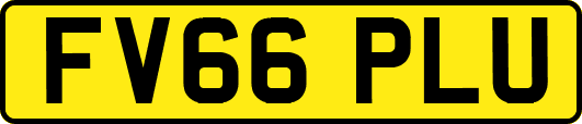 FV66PLU