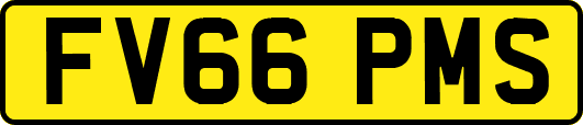 FV66PMS