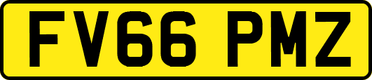 FV66PMZ