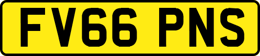 FV66PNS