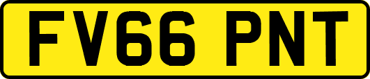 FV66PNT