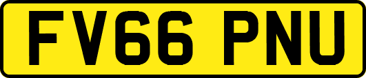 FV66PNU