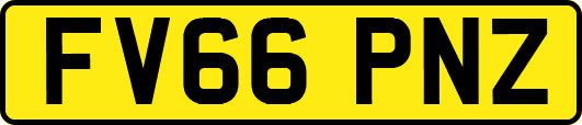 FV66PNZ