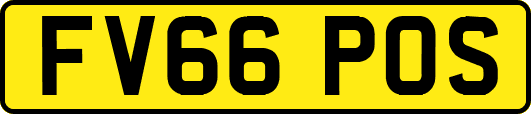 FV66POS
