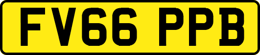 FV66PPB