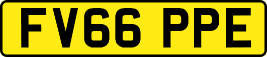 FV66PPE