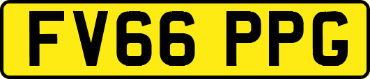 FV66PPG