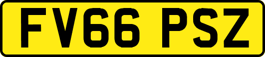 FV66PSZ