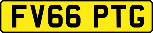 FV66PTG