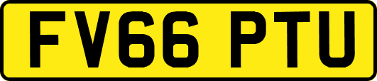 FV66PTU