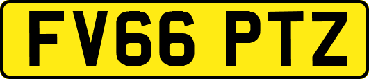 FV66PTZ