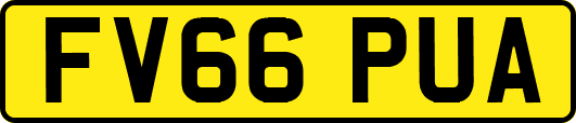 FV66PUA
