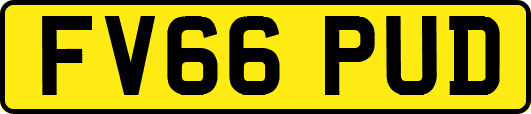 FV66PUD