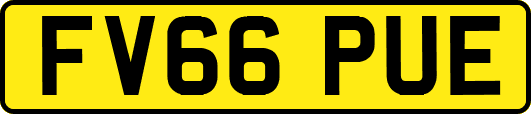 FV66PUE