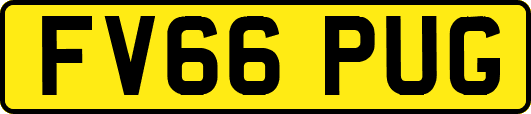 FV66PUG