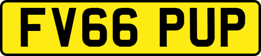 FV66PUP