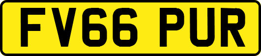 FV66PUR