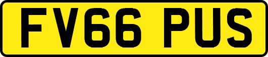 FV66PUS