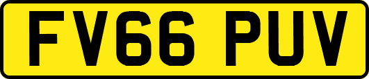 FV66PUV