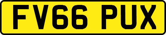 FV66PUX