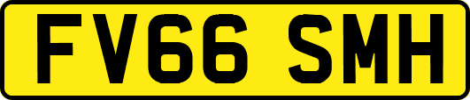 FV66SMH