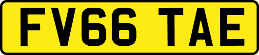 FV66TAE