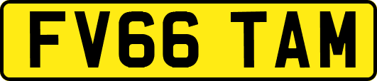 FV66TAM
